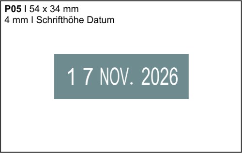 2910 P057